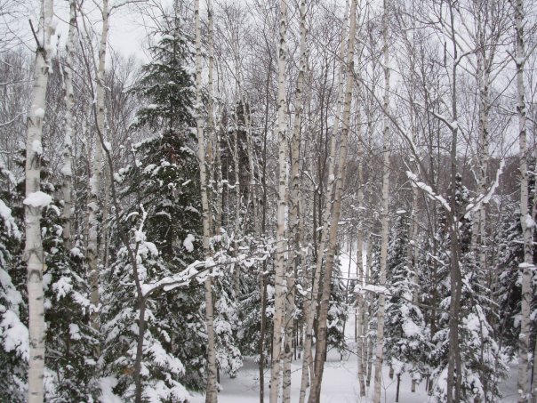 18768_285327493337_4183617_n