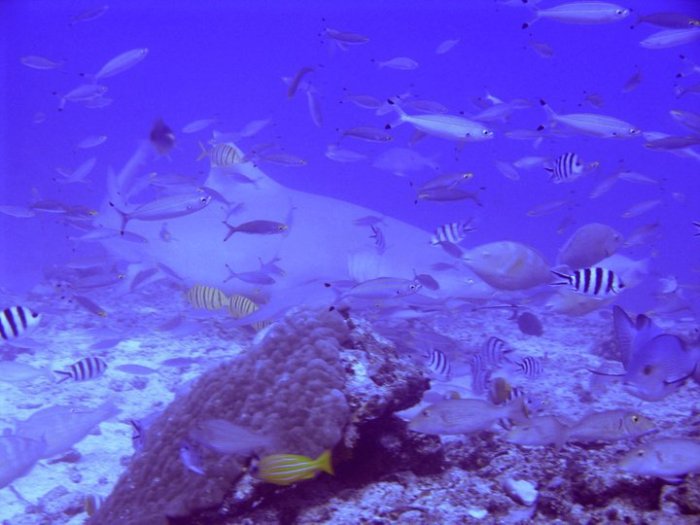 68228_10150108874828338_8300185_n